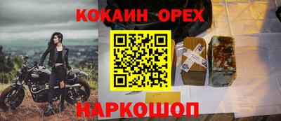 амф Камышлов