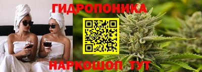 амф Камышлов