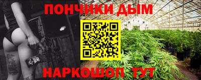 амф Камышлов