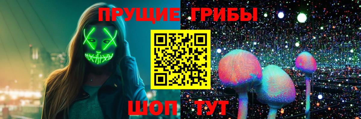 Галлюциногенные грибы прущие грибы Кропоткин