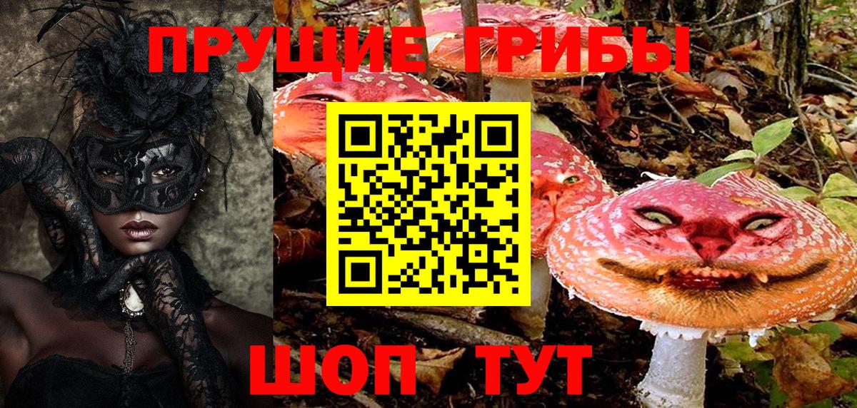 продажа наркотиков  Вход с VPN  Кропоткин  Псилоцибиновые грибы Psilocybine cubensis 